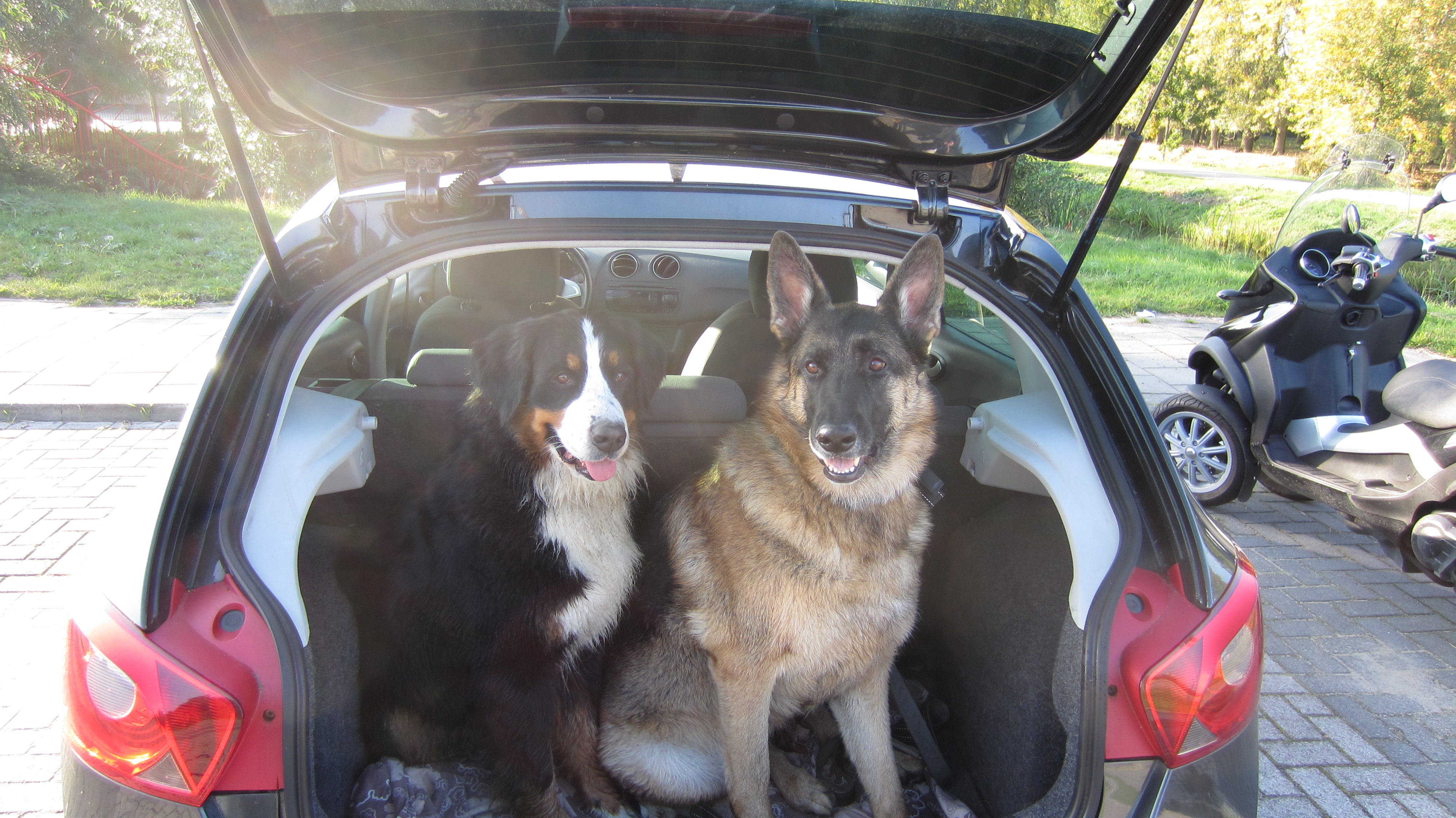 Dog's Best Friend - Prive Hondentraining - Jana & Bonzjo
